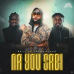 Na You Sabi Cover Art