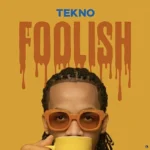 Foolish Cover Art