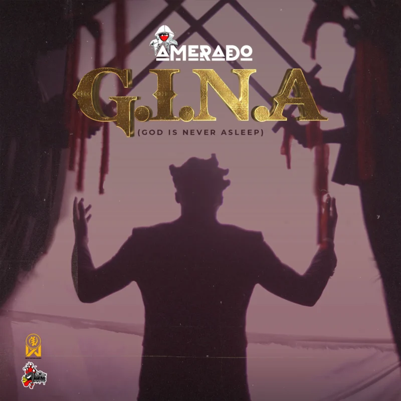 Cover of album 'G.I.N.A' by Amerado