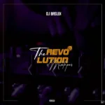 Cover for The Revolution Mix