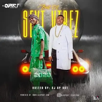 Best of Seyi Vibez Mix (2023) cover art