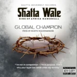 Global Champion Cover Art