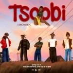 Tsoobi (Akonoba) Cover Art