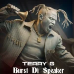 Burst Di Speaker Cover Art