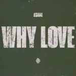 WHY LOVE Album Cover