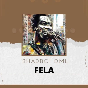 FELA Album Cover