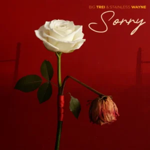 Sorry Album Cover