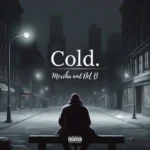 Cold Cover Art