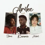 Arike (Remix) Album Cover