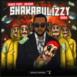 Shakabulizzy (Remix) Album Cover