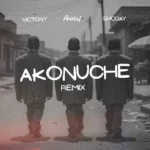 Akonuche (Remix) Album Cover