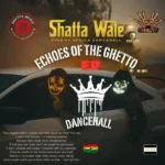 Lonely Victory Album Cover