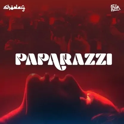 Paparazzi cover art