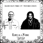 Life Is A Vibe Album Cover