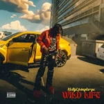 Wild Life Album Cover