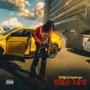 Artist Kellylivinglarge