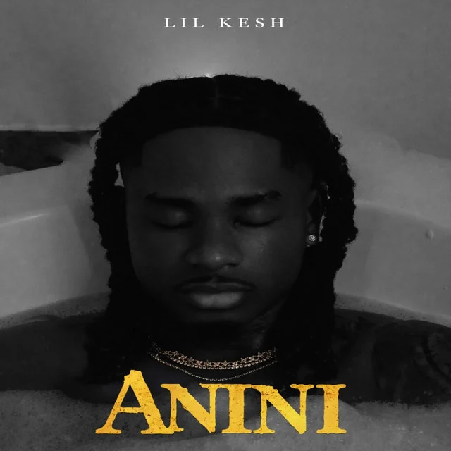 Anini (Thief) cover art