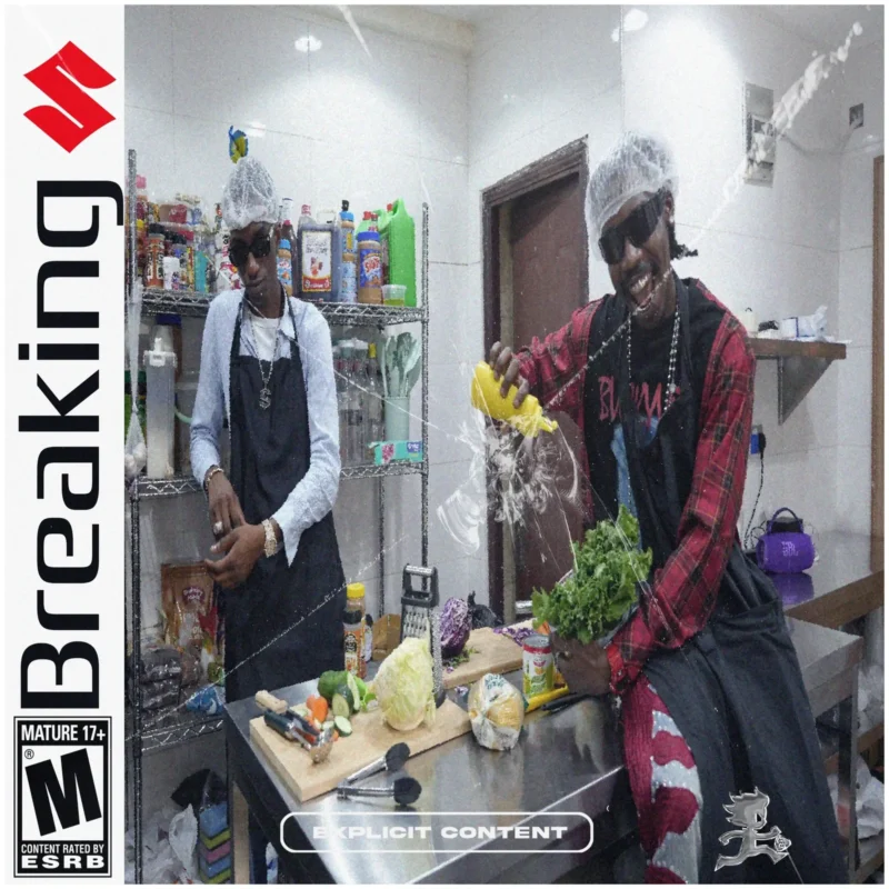 Cover of album 'Breaking EP' by Mavo