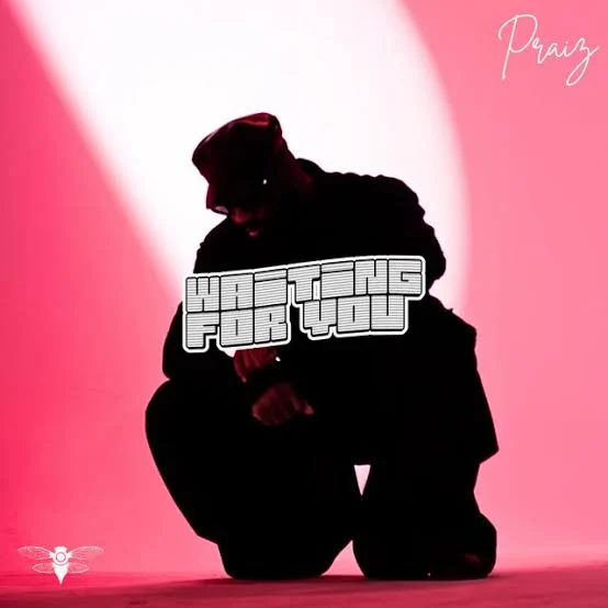 Waiting For You cover art