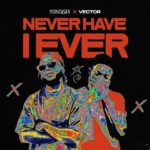 Never Have I Ever Album Cover