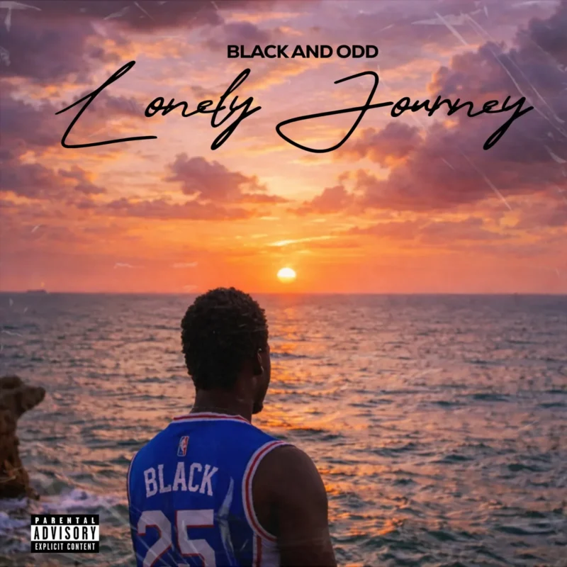 Lonely Journey cover art