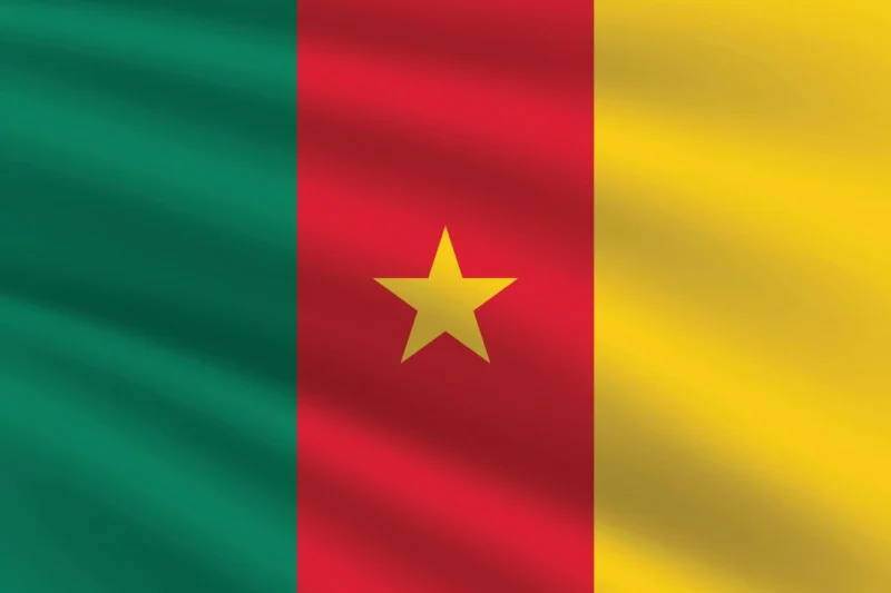 Top Cameroonian Songs