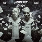 After the Storm Album Cover