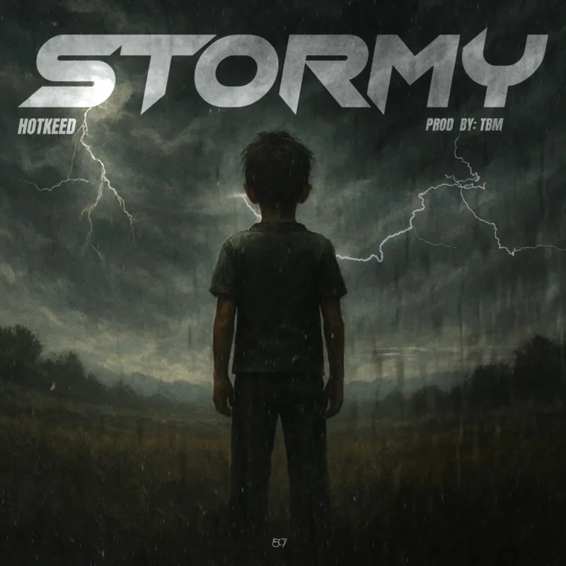 Stormy cover art