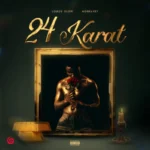 24 Karat Album Cover