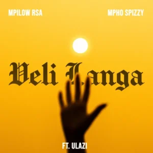 Veli Langa Album Cover