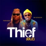 Thief (Ole) Album Cover