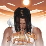 I No Go Fall Album Cover