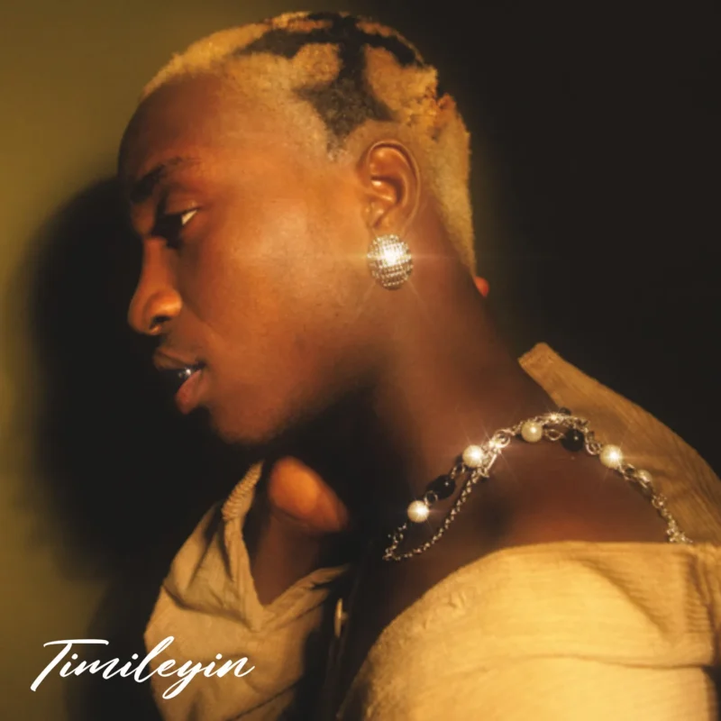 Cover of album 'Timileyin EP'