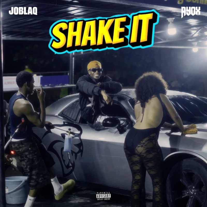 Shake It cover art