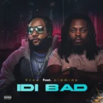 Idi Bad Album Cover