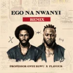 Ego Na Nwanyi (Remix) Album Cover